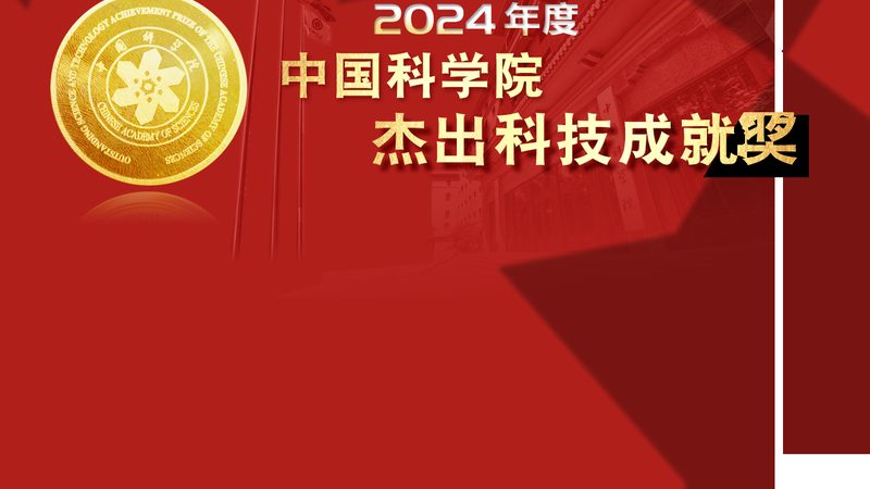 数据服务定制标准规范：构建高效数据管理基石